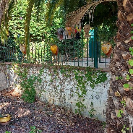 Suite & Spa Panoramic Olivars Pau Exterior photo